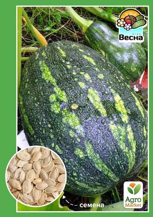 Гарбуз "Український багатоплідний" ТМ "Весна" 2г