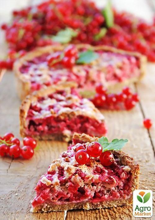 Эксклюзив! Смородина ярко-красная "Любовь" (Love) (премиальный ремонтантный сорт) - фото 2