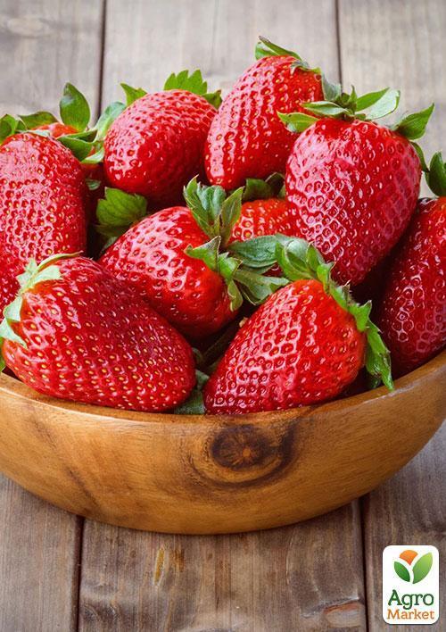 Полуниця "Полка" (пізній термін дозрівання) - фото 6