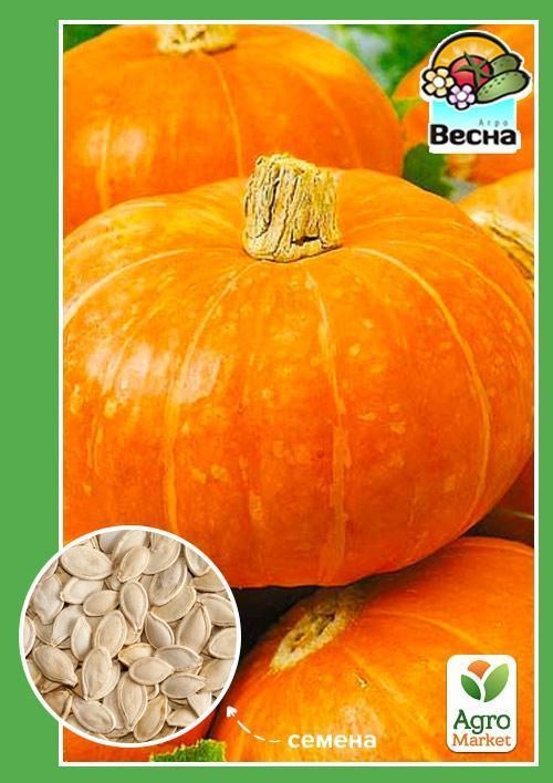 Тыква "Амазонка" ТМ "Весна" 2г