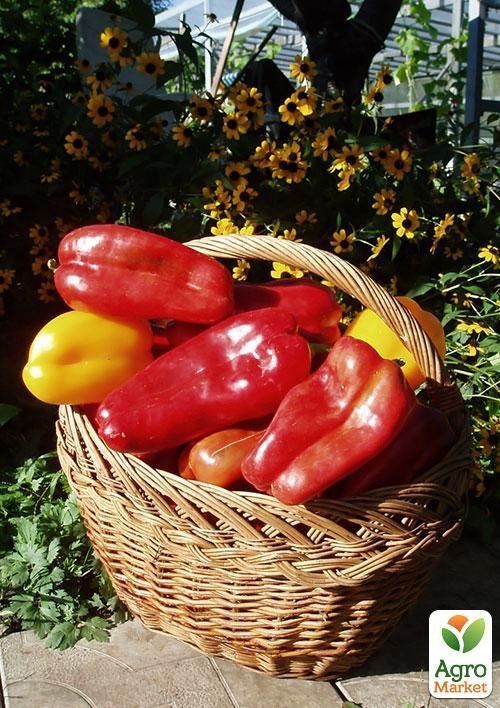 Перец "Пурпурный колокол " ТМ "Vesna Select" 20шт - фото 2