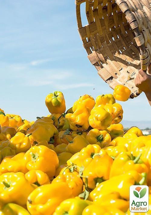 Перец "Маримба" ТМ "Vesna Select" 20шт - фото 3