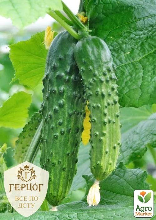 Огурец "Герцог" "Хрустик" ТМ "Весна" 2г