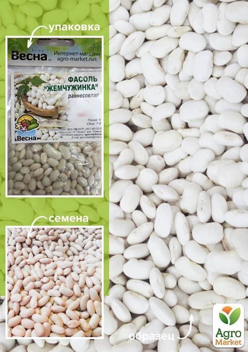 Квасоля "Перлинка" (Зипер) ТМ "Весна" 5г.