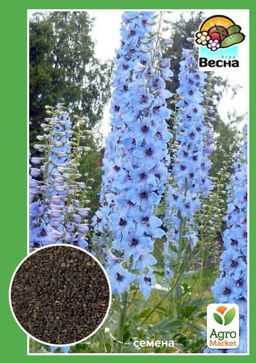 Дельфиниум "Голубой король" ТМ "Весна" 0.2г