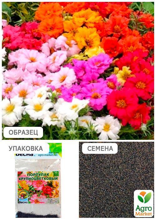 Портулак "Великоквітковий" (Зипер) ТМ "Весна" 1г - фото 4