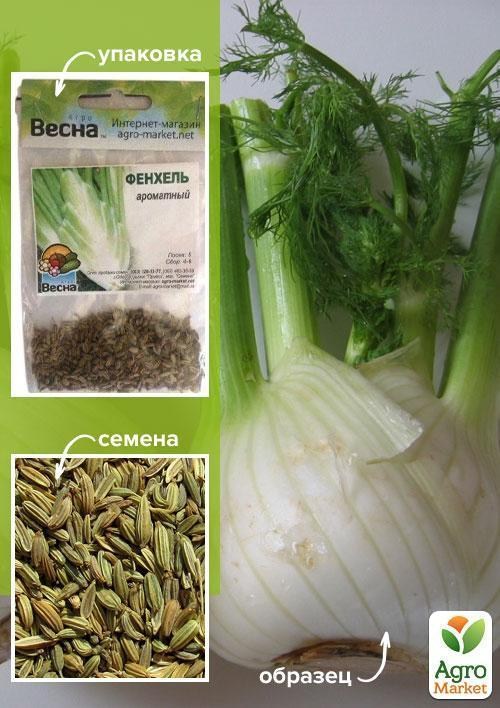 Фенхель (Зипер) ТМ "Весна" 3г