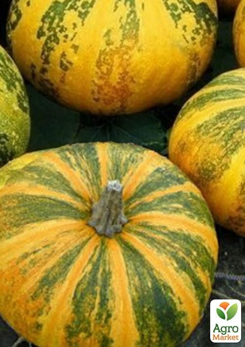 Тыква "Юнона" (в банке) ТМ "Весна" 100г