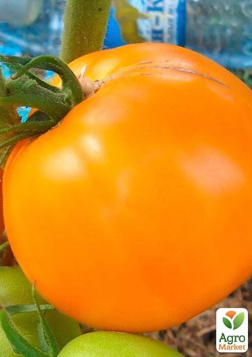 Томат "Апельсин" (в банке) ТМ "Весна Органик" 3г