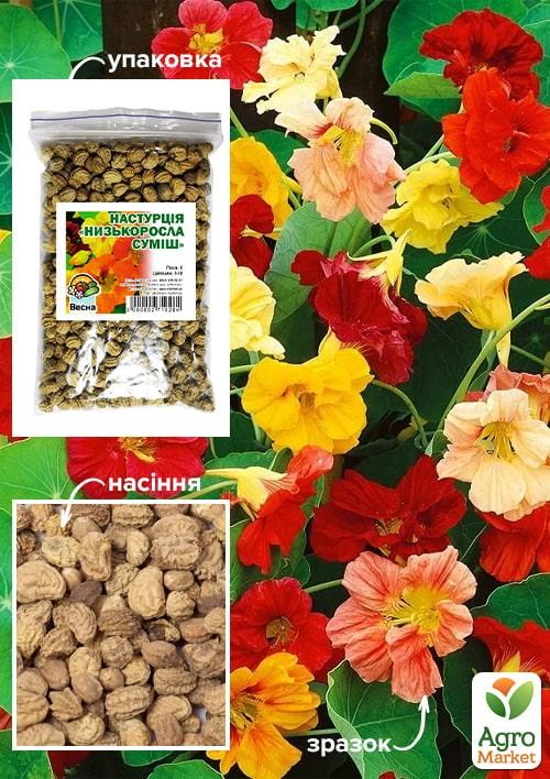 Настурція "Низькоросла суміш" ТМ "Весна" 100г NEW