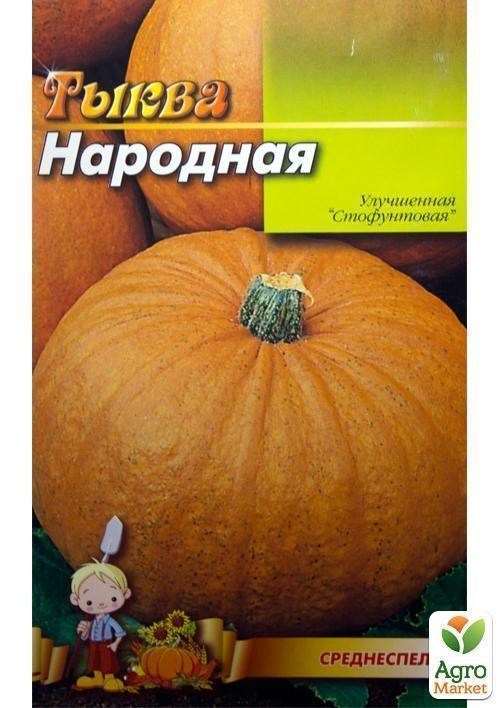 Гарбуз "Народний" (Великий пакет) ТМ "Весна" 8г - фото 2