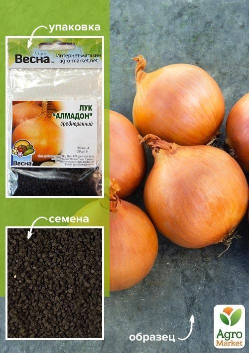 Лук "Алмадон" (Зипер) ТМ "Весна" 3г