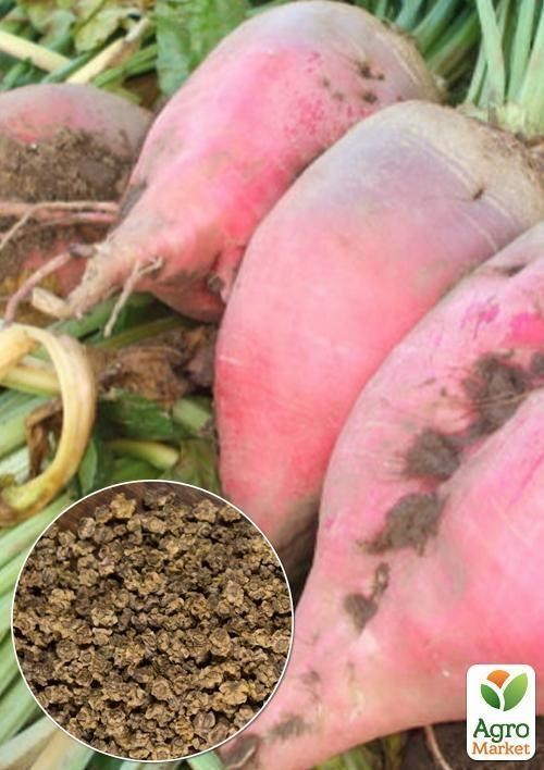На развес Свекла кормовая "Киевская розовая" ТМ "Весна" цена за 15г