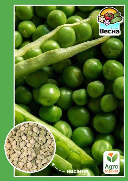 Горох "Альфа" ТМ "Весна" 10г
