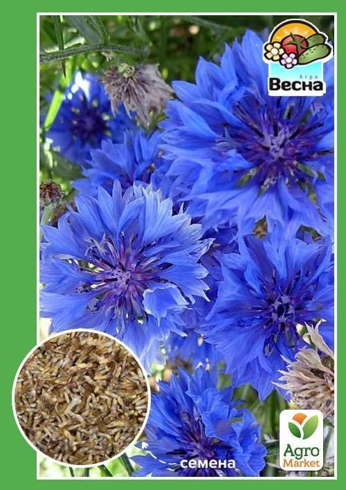 Волошка "Махровий синій" ТМ "Весна" 0.3г