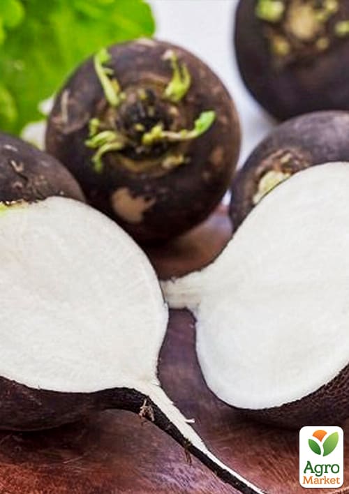 На развес Редька "Зимняя черная" ТМ "Весна" цена за 15г - фото 2