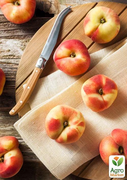 Персик "Фаворит Мореттини" (летний сорт, ранний срок созревания) - фото 5