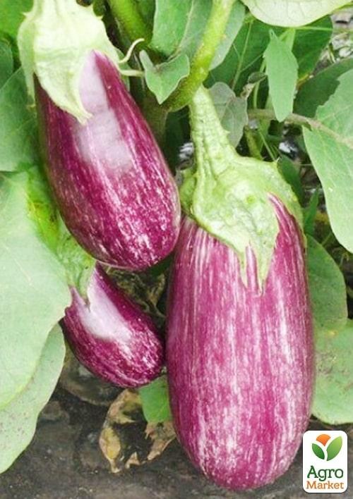 Баклажан "Рико F1" ТМ "Lark Seeds" 100шт