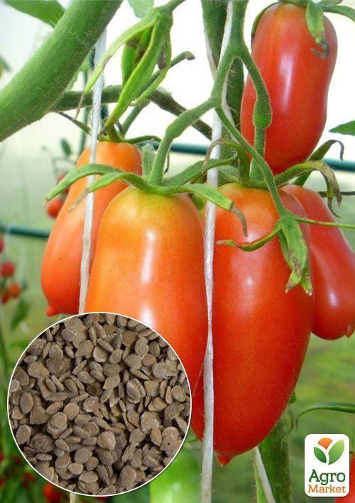 На развес Томат "Московский деликатес" ТМ "Весна" цена за 1г