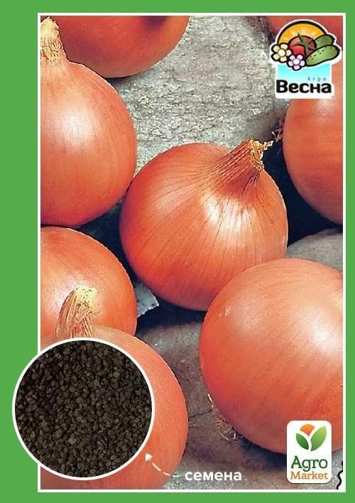 Лук "Золотистый" ТМ "Весна" 2г
