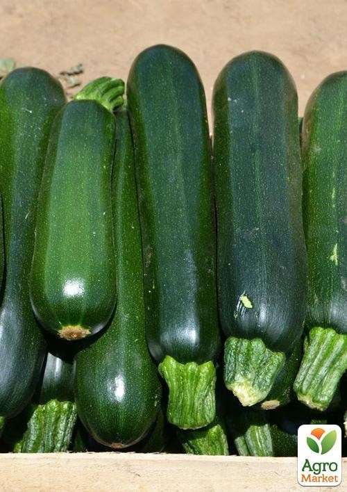 Кабачок "Базальт F1" ТМ "Lark Seeds" 500шт