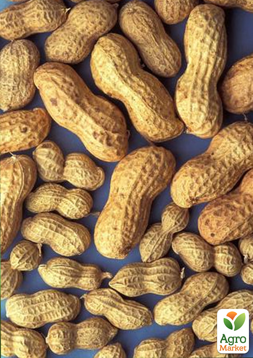Арахис "Вирджиния" ТМ "Vesna Select" 5шт - фото 2