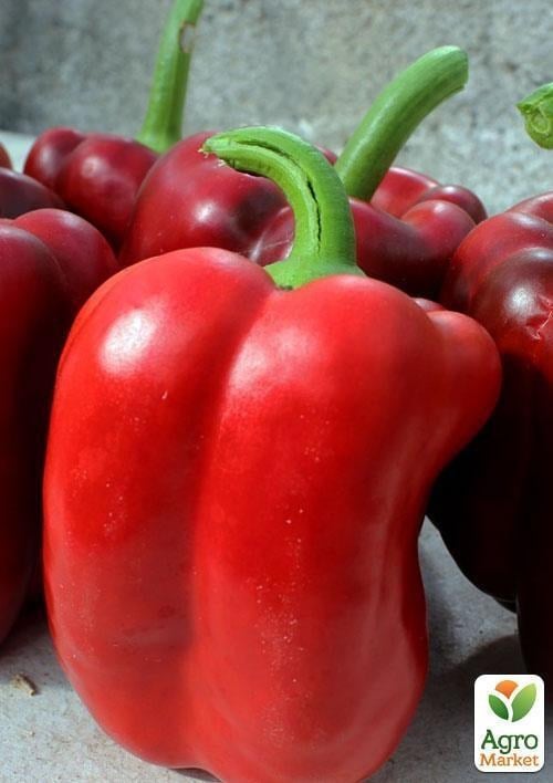 Перець "Північний король" ТМ "Vesna Select" 20шт