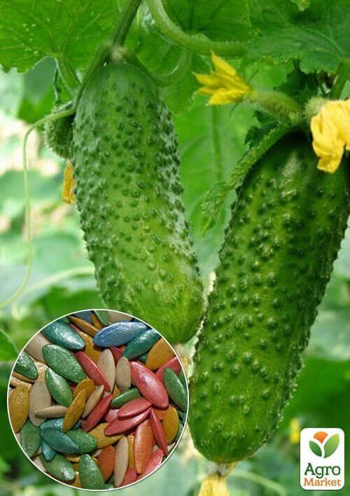 На вагу Огірок "Суміш F1" ТМ "Весна" ціна за 2г