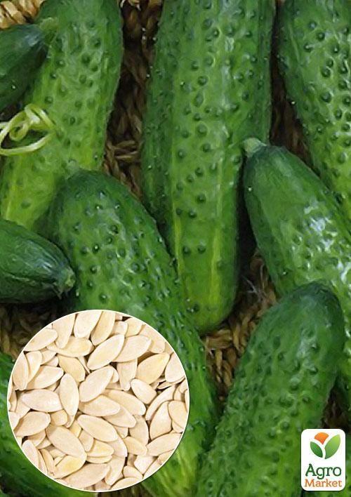 На развес Огурец "Полан F1" ТМ "Весна" цена за 2г