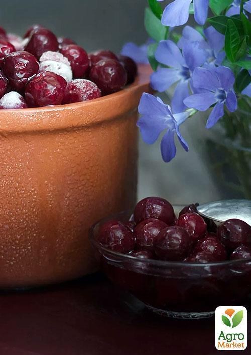 Вишня "Келерис" - фото 3