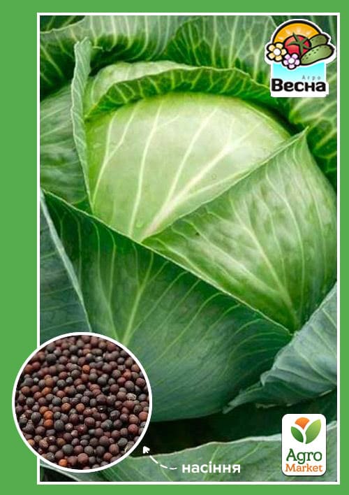 Капуста "Амагер" ТМ "Весна" 0,5 г