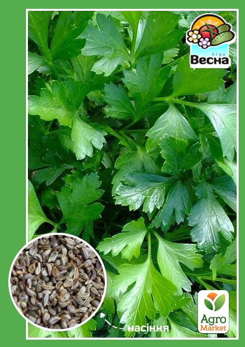 Петрушка "Ароматная" ТМ "Весна" 2г