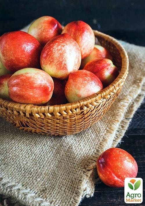 Нектарин "Рубиновый" (лысый персик, летний сорт, средний срок созревания) - фото 4
