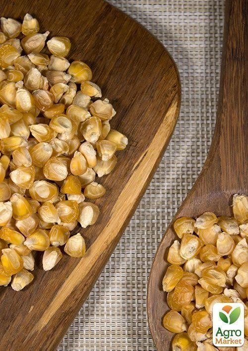 На вагу Кукурудза "Суперсолодка" ТМ "Весна" ціна за 40г - фото 3