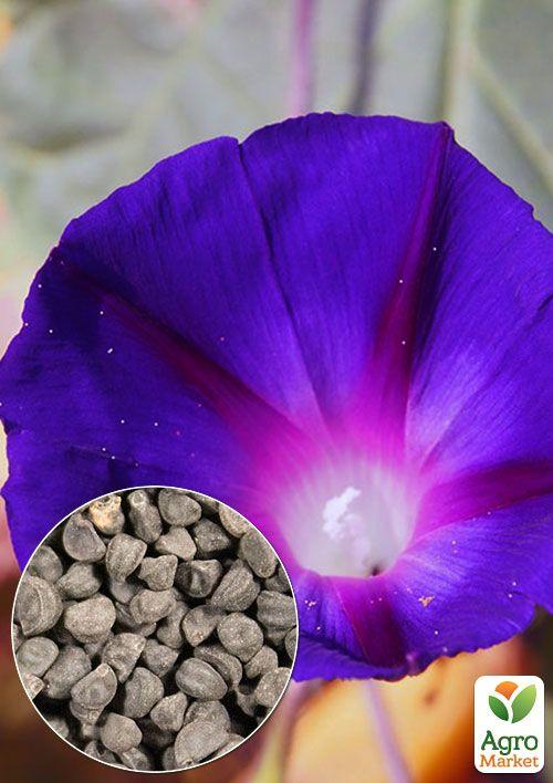 На развес Ипомея "Синяя звезда" ТМ "Весна" цена за 2г