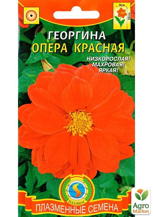 Георгина низкорослая "Опера красная" ТМ "Плазменные семена" 11шт NEW