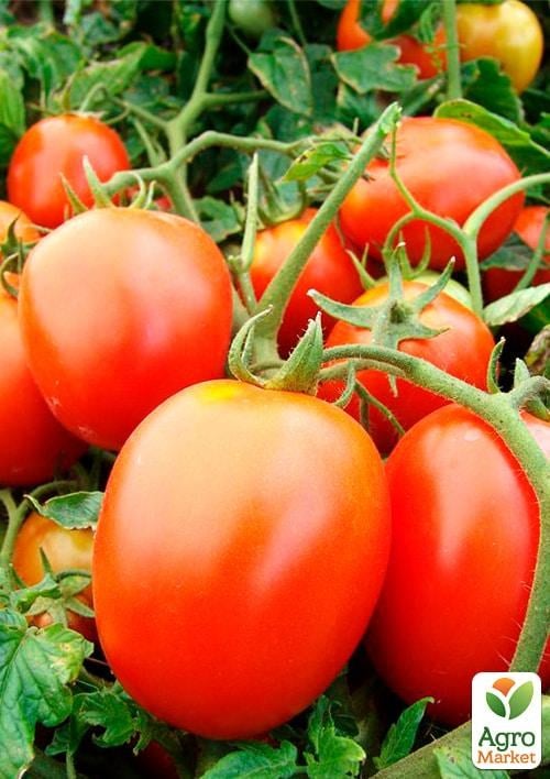 Томат "Одесская сливка" (Зипер) ТМ "Весна" 1г