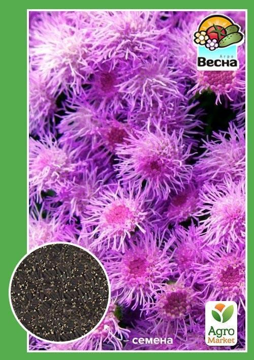 Агератум рожевий ТМ "Весна" 0.2г