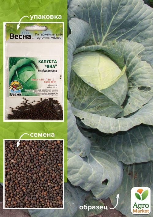 Капуста "Яна" (Зипер) ТМ "Весна" 3г