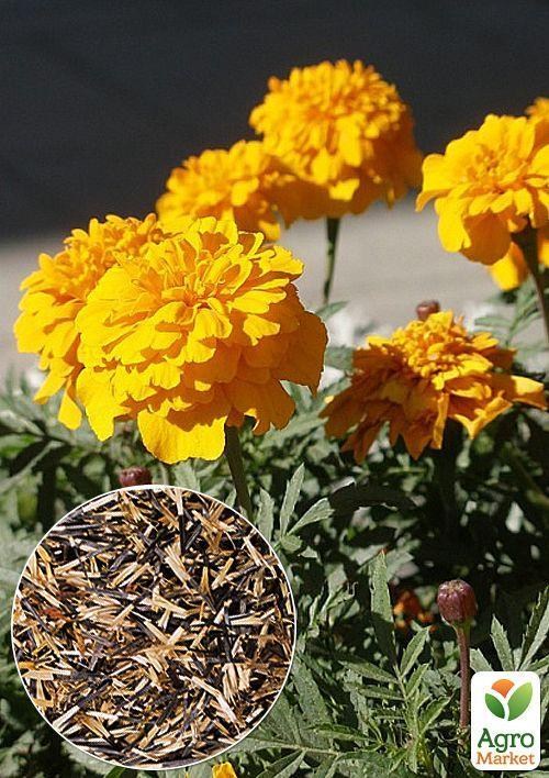 На развес Бархатцы "Золотой шар" ТМ "Весна" цена за 2г