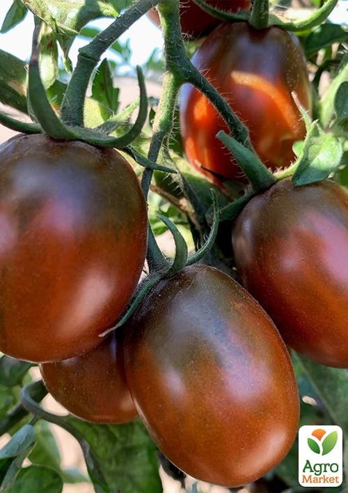 Томат "Onyx Necklace" ТМ "Vesna Select" 0.2г