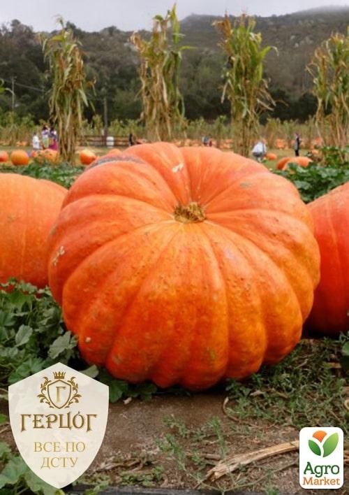 Тыква "Герцог" "Гигант" ТМ "Весна" 8г