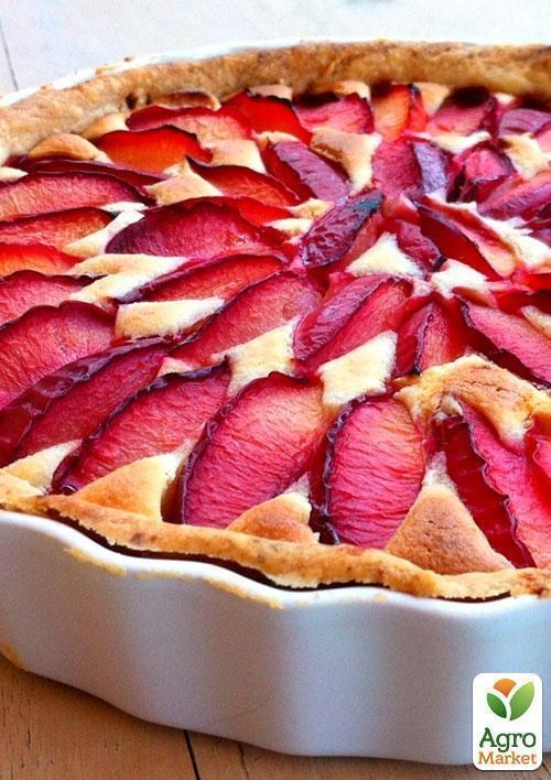 Слива "Велетенська" (осінній сорт, пізній термін дозрівання) - фото 3