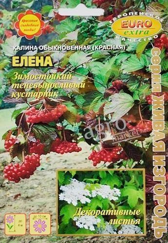 Калина звичайна "Олена" ТМ "Аеліта"