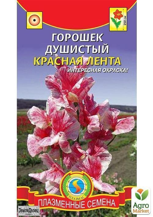 Горошек душистый "Красная лента" ТМ "Плазменные семена" 0,5г