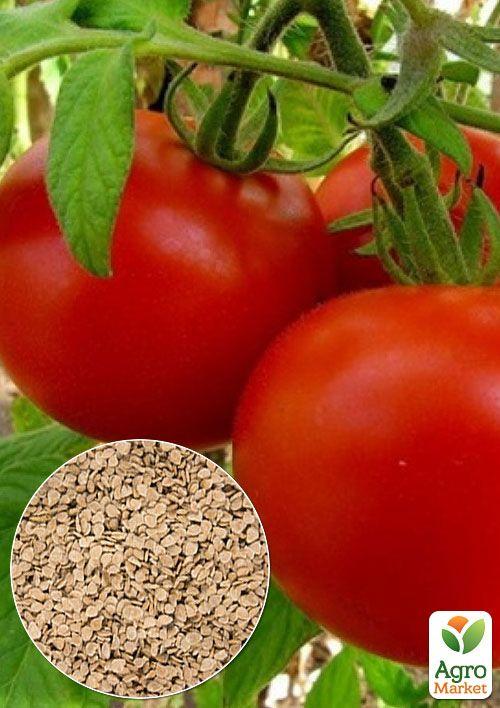 На вагу Томат "Загадка" ТМ "Весна" ціна за 1г