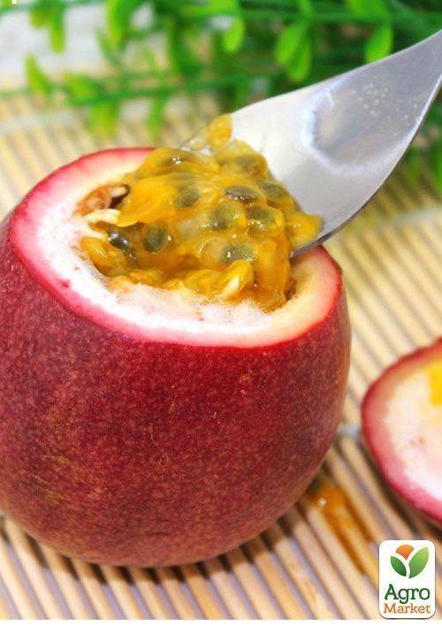 Маракуйя Бразильская съедобная - фото 2