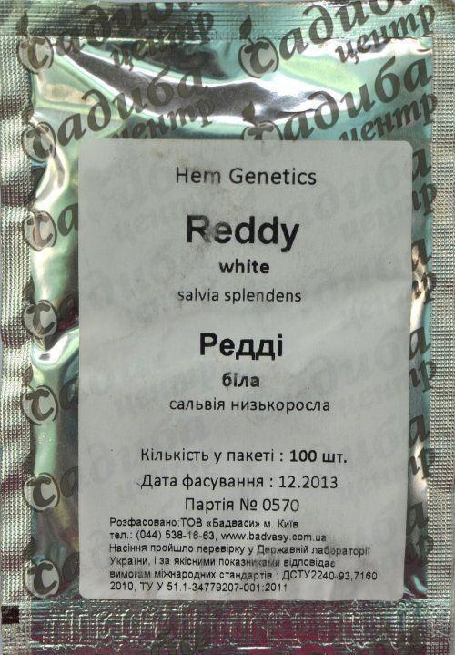 Сальвія "Редді біла" ТМ "Садиба центр" 100шт