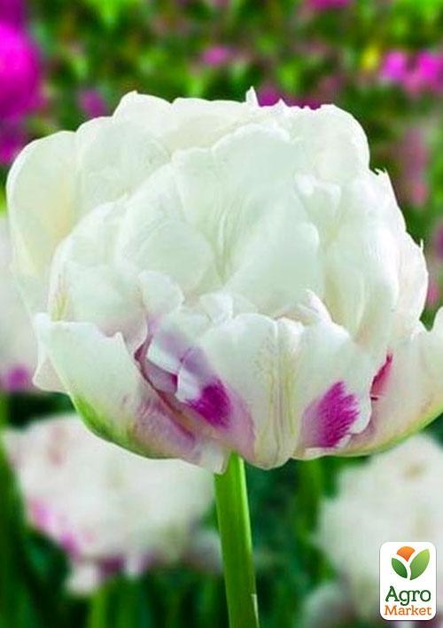 Тюльпан "Ice Wonder" 3шт в упаковці