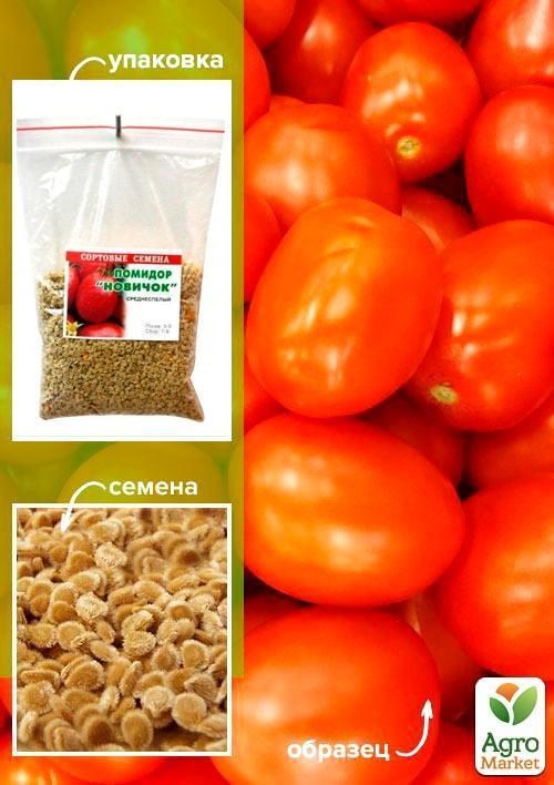 Томат "Новичок" ТМ "Весна" 100г